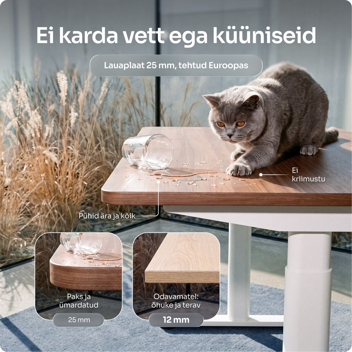 Reguleeritava kõrgusega laud OmniPRO 2.0