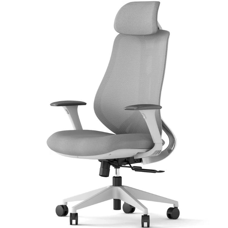 Ergonix OmniSit Pro ergonoomiline tool